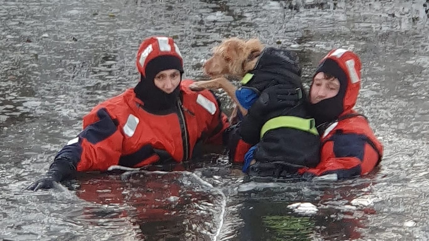 Feuerwehrleute retten einen Hund am Riedsee: Der Vierbeiner kam sicher zurück ans Ufer.