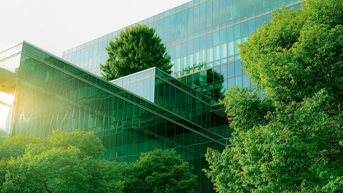 Um wirklich nachhaltige Unternehmen zu identifizieren, reicht es nicht, sich nur die grüne Fassade anzusehen. Ein tiefer und gründlicher Blick ist nötig.
