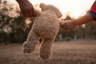 Ein Teddybär wird von zwei Händen gehalten (Symbolbild): Für die j.nge Familie veränderte sich das Leben schlagartig.
