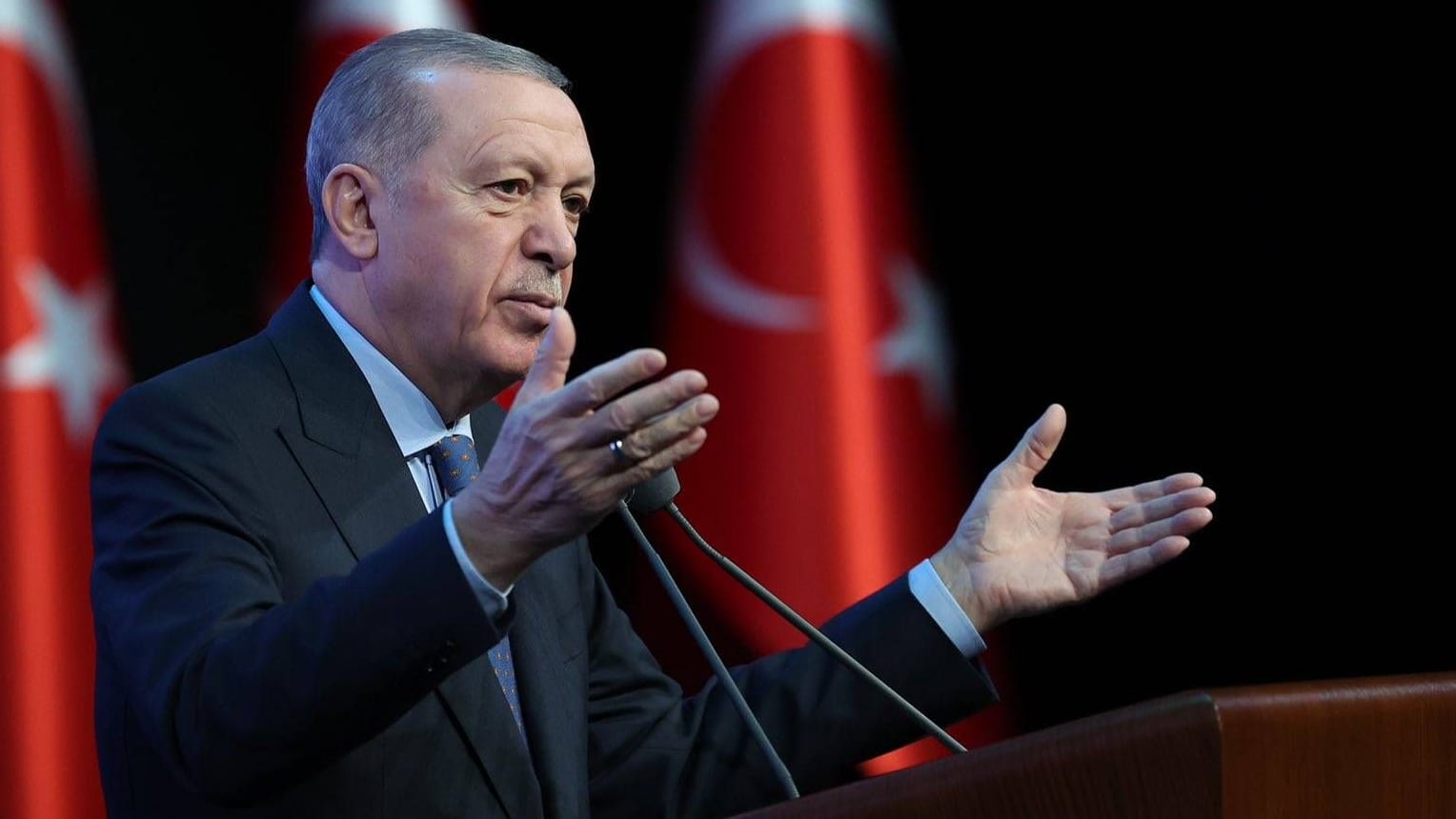 Recep Tayyip Erdoğan: Der türkische Präsident steht angesichts vieler Krisen mit dem Rücken zur Wand.