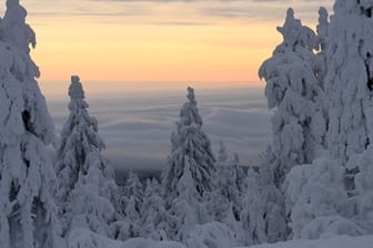 Durch zugeschneite Landschaften: Zehn Skitouren laden zum Abschalten in der Natur ein.