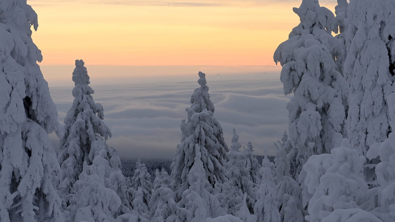 Durch zugeschneite Landschaften: Zehn Skitouren laden zum Abschalten in der Natur ein.