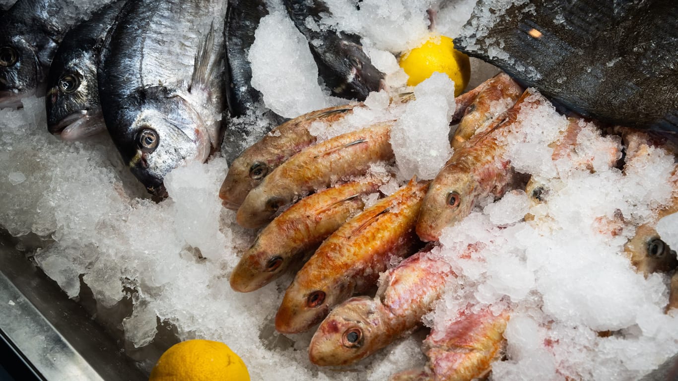 Fisch in einem Restaurant (Symbolfoto): Die Gastro-Branche im Norden hat zu kämpfen.