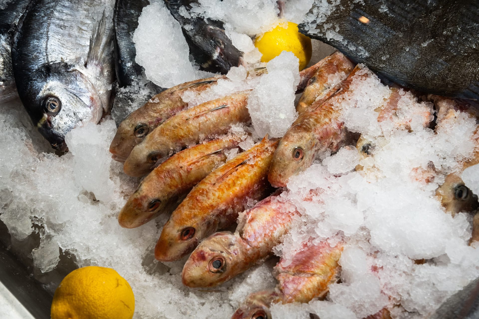 Fisch in einem Restaurant (Symbolfoto): Die Gastro-Branche im Norden hat zu kämpfen.