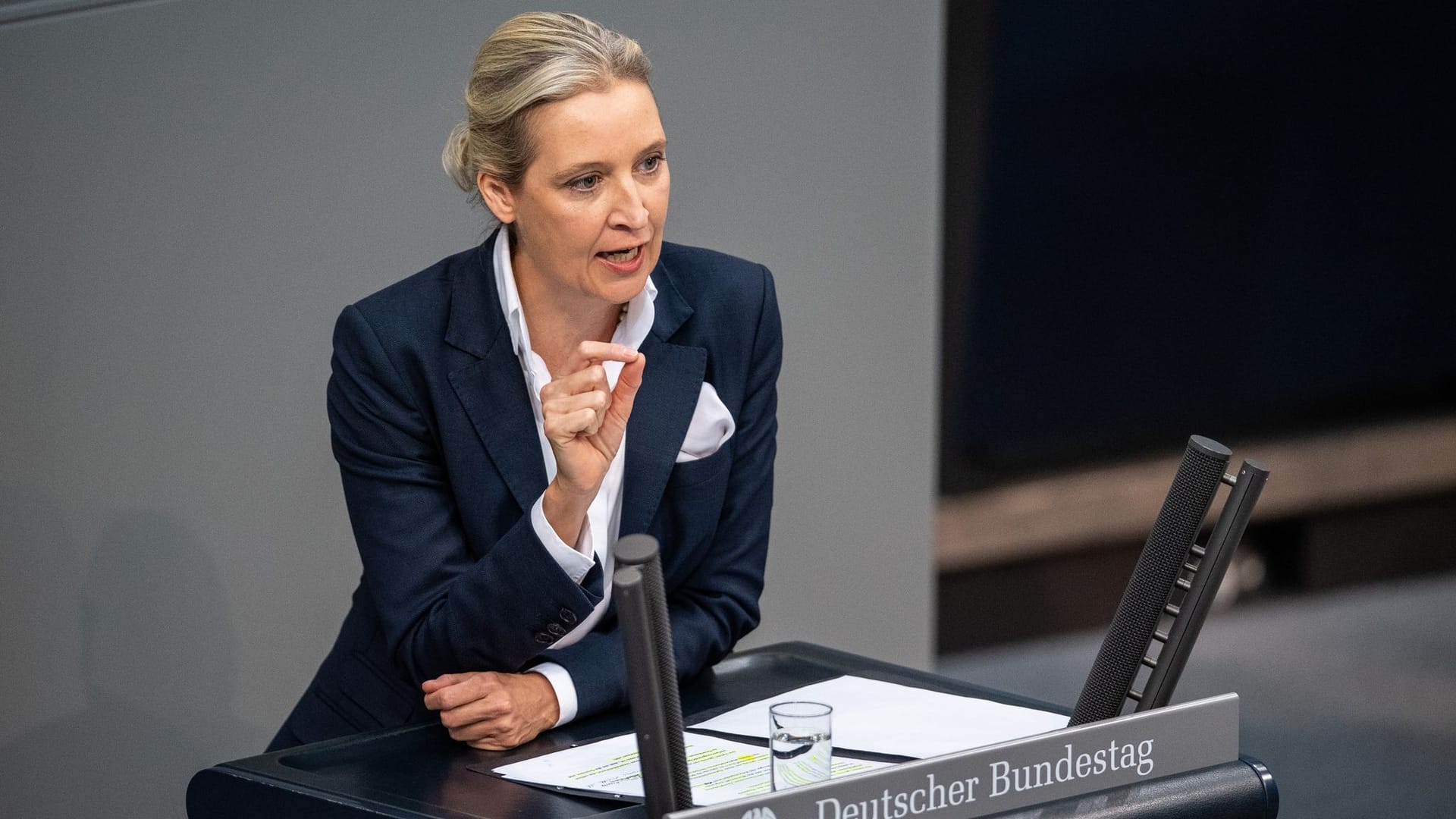 Alice Weidel