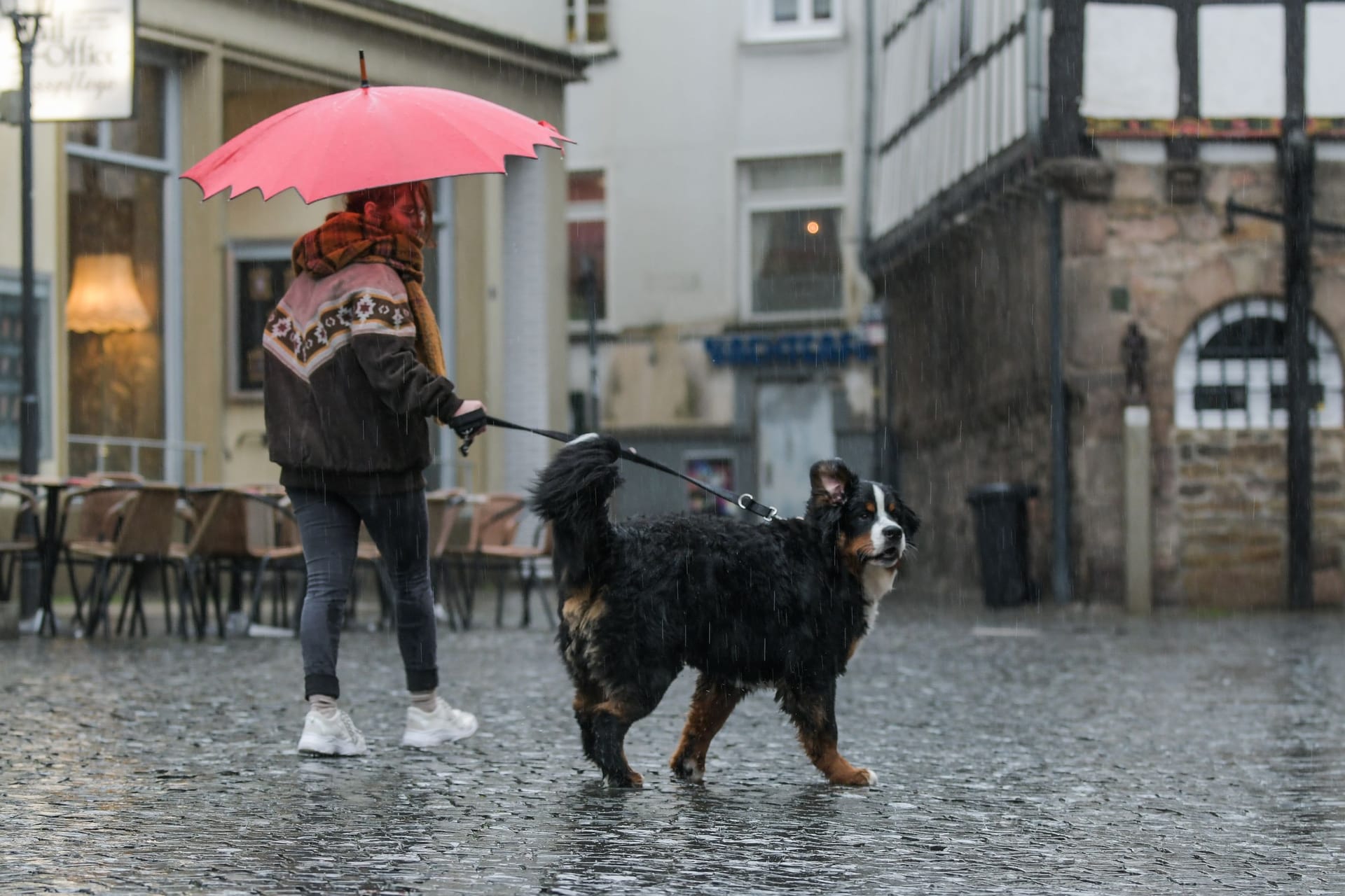 Eine Frau geht im Regen mit ihrem Hund spazieren (Symbolbild): In NRW ist am Donnerstag mit Sturmböen zu rechnen.