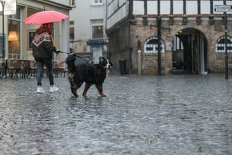 Eine Frau geht im Regen mit ihrem Hund spazieren (Symbolbild): In NRW ist am Donnerstag mit Sturmböen zu rechnen.