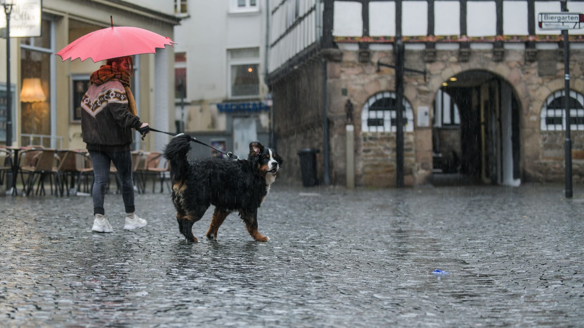 Eine Frau geht im Regen mit ihrem Hund spazieren (Symbolbild): In NRW ist am Donnerstag mit Sturmböen zu rechnen.