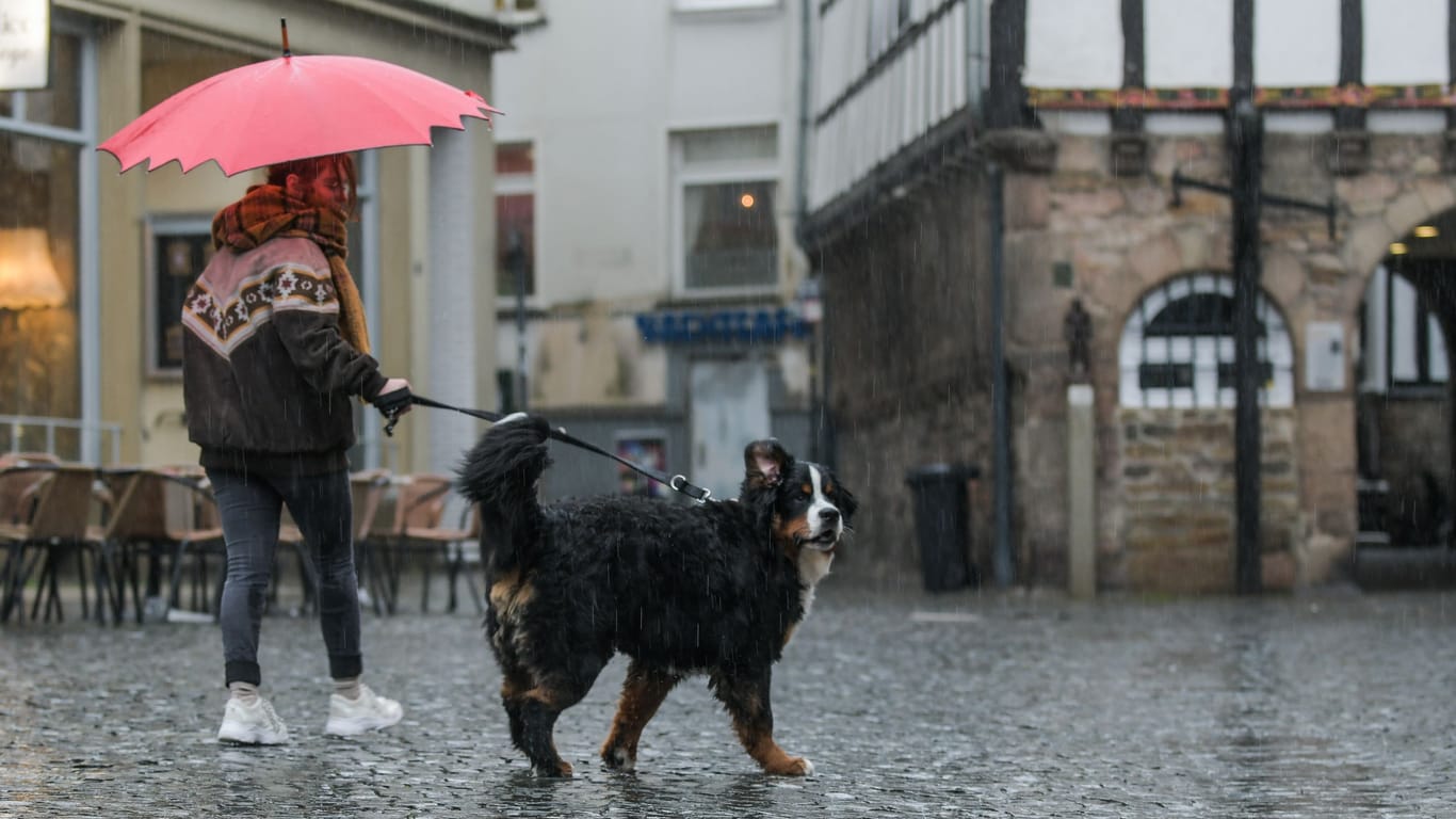 Eine Frau geht im Regen mit ihrem Hund spazieren (Symbolbild): In NRW ist am Donnerstag mit Sturmböen zu rechnen.