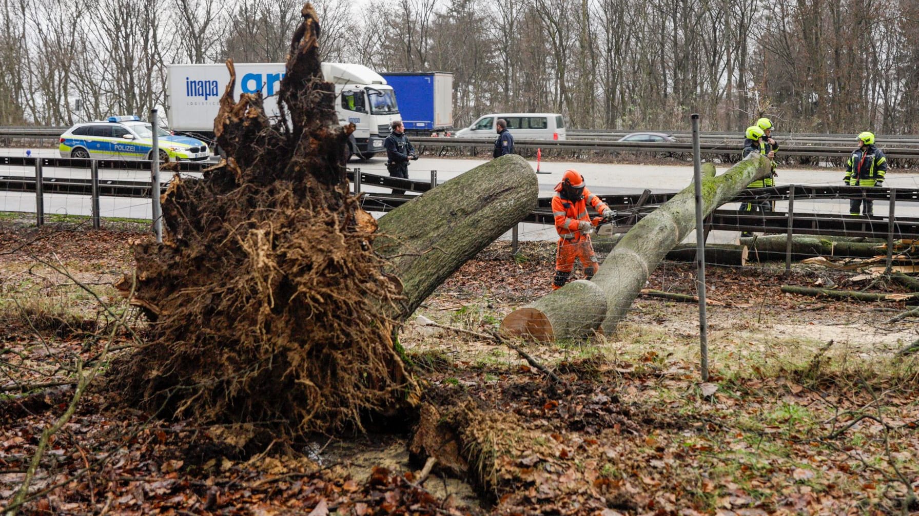 Kleintransporter kracht gegen umgefallenen Baum auf der A3