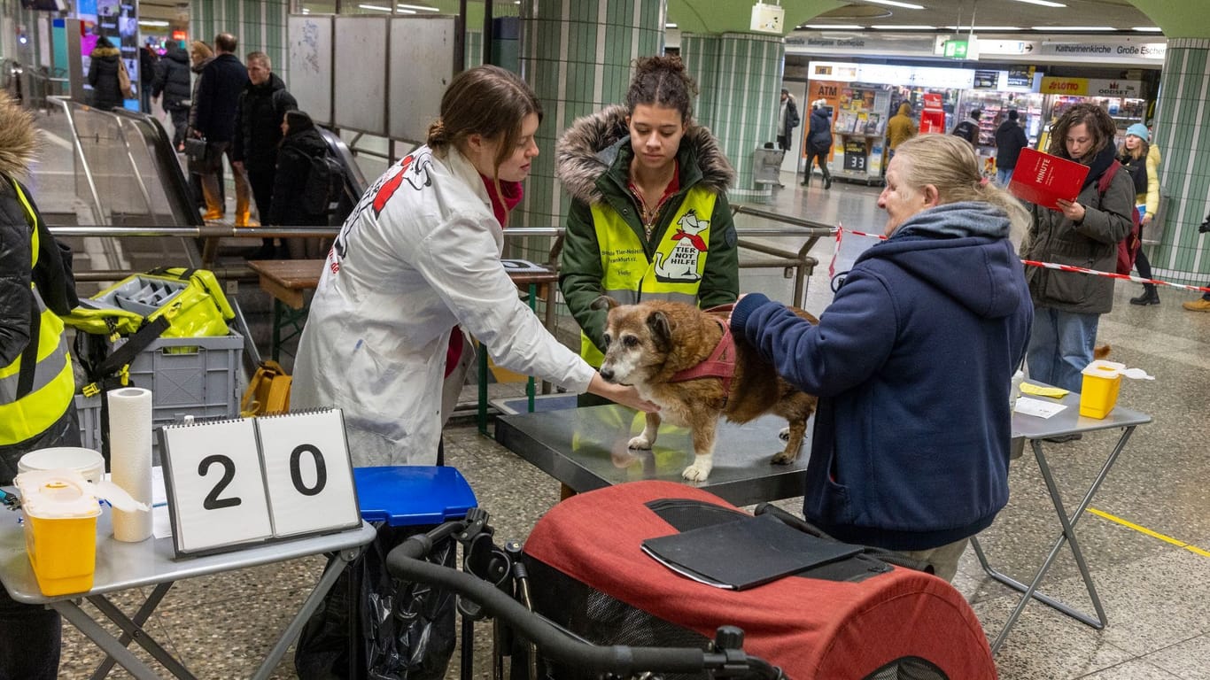 Soziale Tier-Not-Hilfe Frankfurt