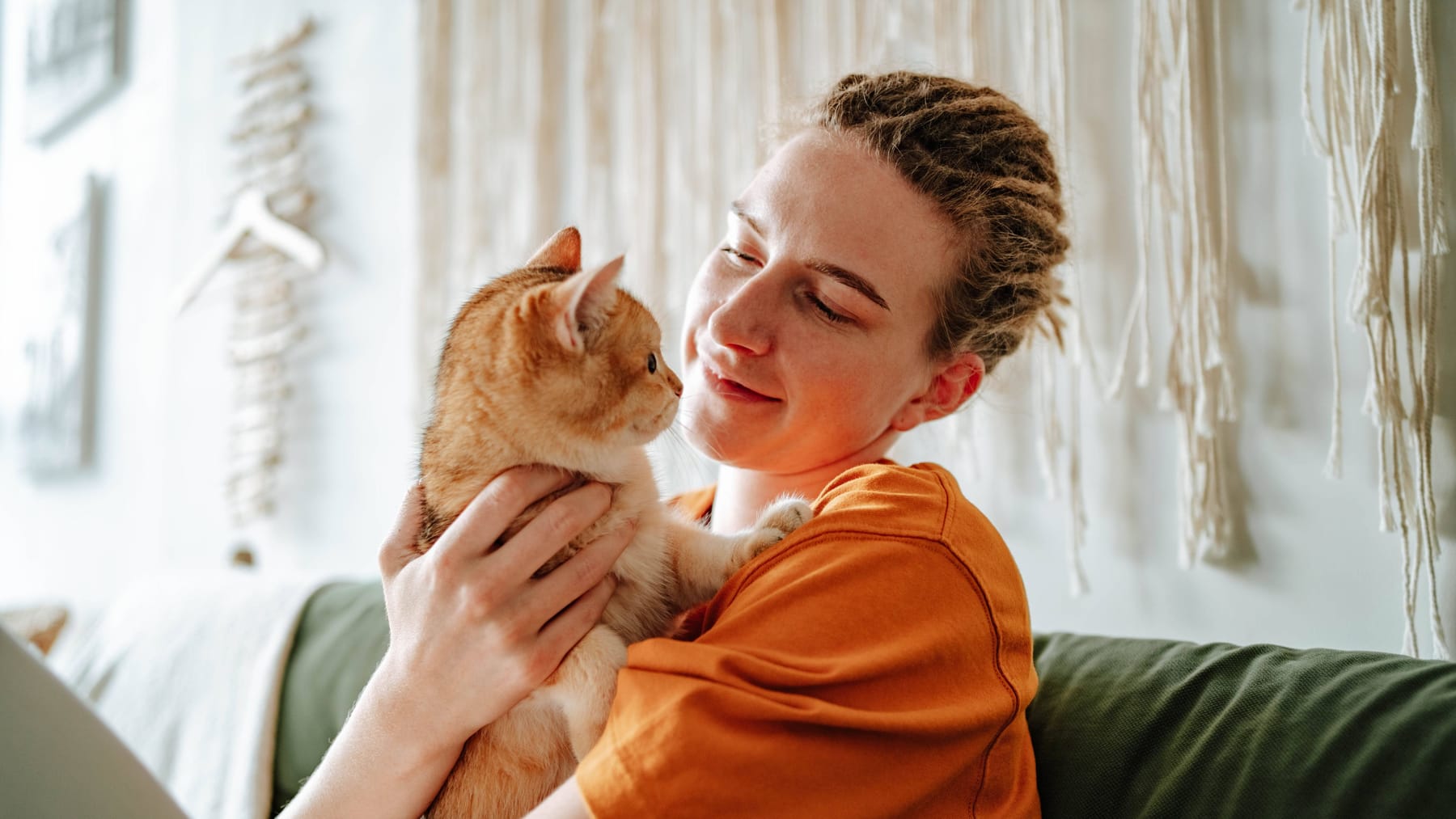 Katzenhaare von Kleidung entfernen Das hilft am besten Tipps