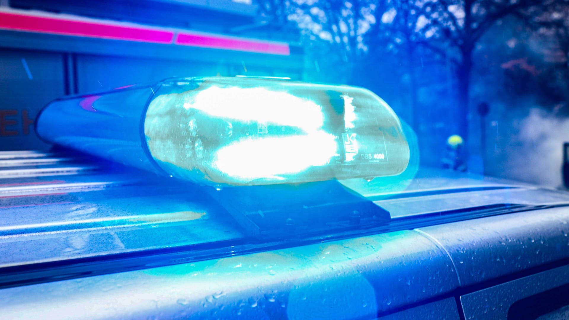 Blaulicht auf einem Polizeiwagen (Symbolbild): Das Opfer konnte sich nach dem Angriff ans Ufer retten. Blaulicht auf einem Polizeiwagen (Symbolbild): Das Opfer konnte sich nach dem Angriff ans Ufer retten.