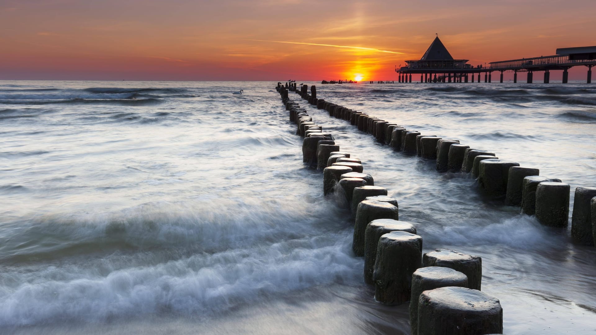 Seebrücke Heringsdorf auf Usedom