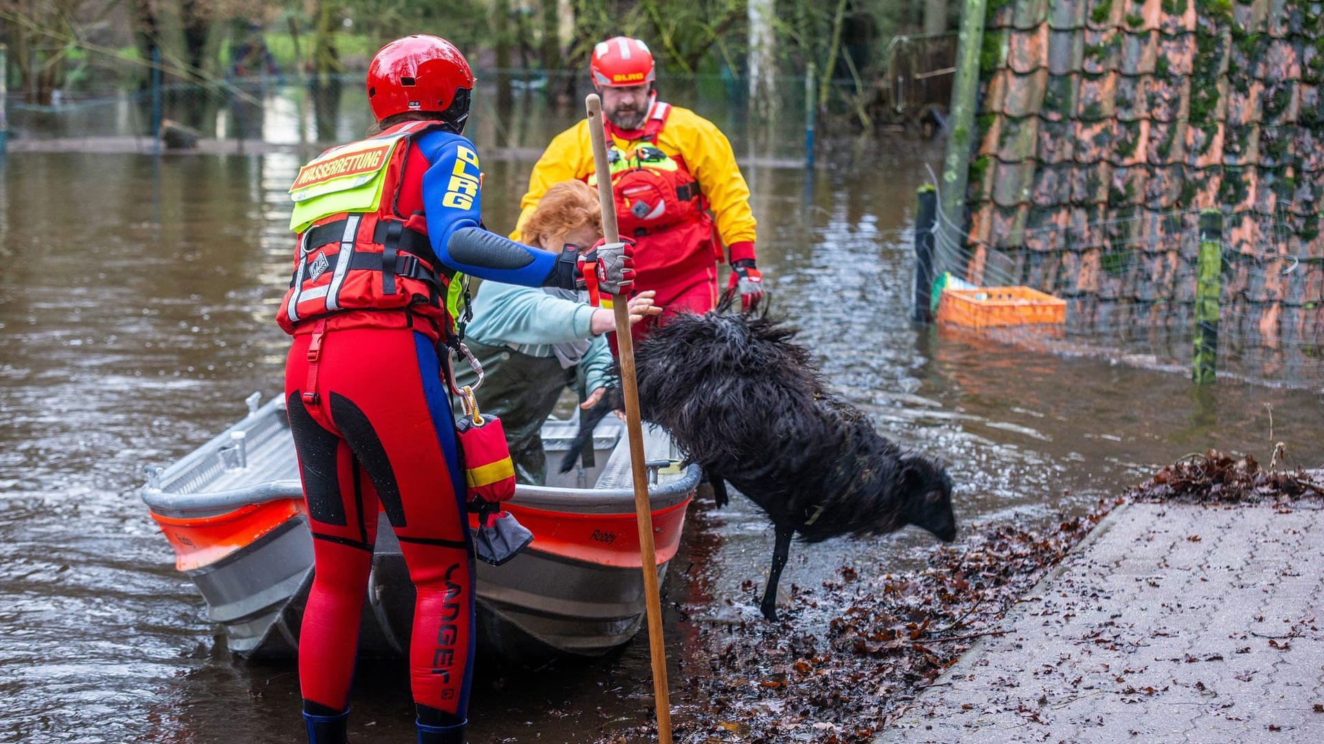 Mitarbeiter der DLRG retten in der Wedemark Heidschnucken. Eine Herde mit etwa zehn Tieren war dort am Mittwoch von Wassermassen eingeschlossen worden.