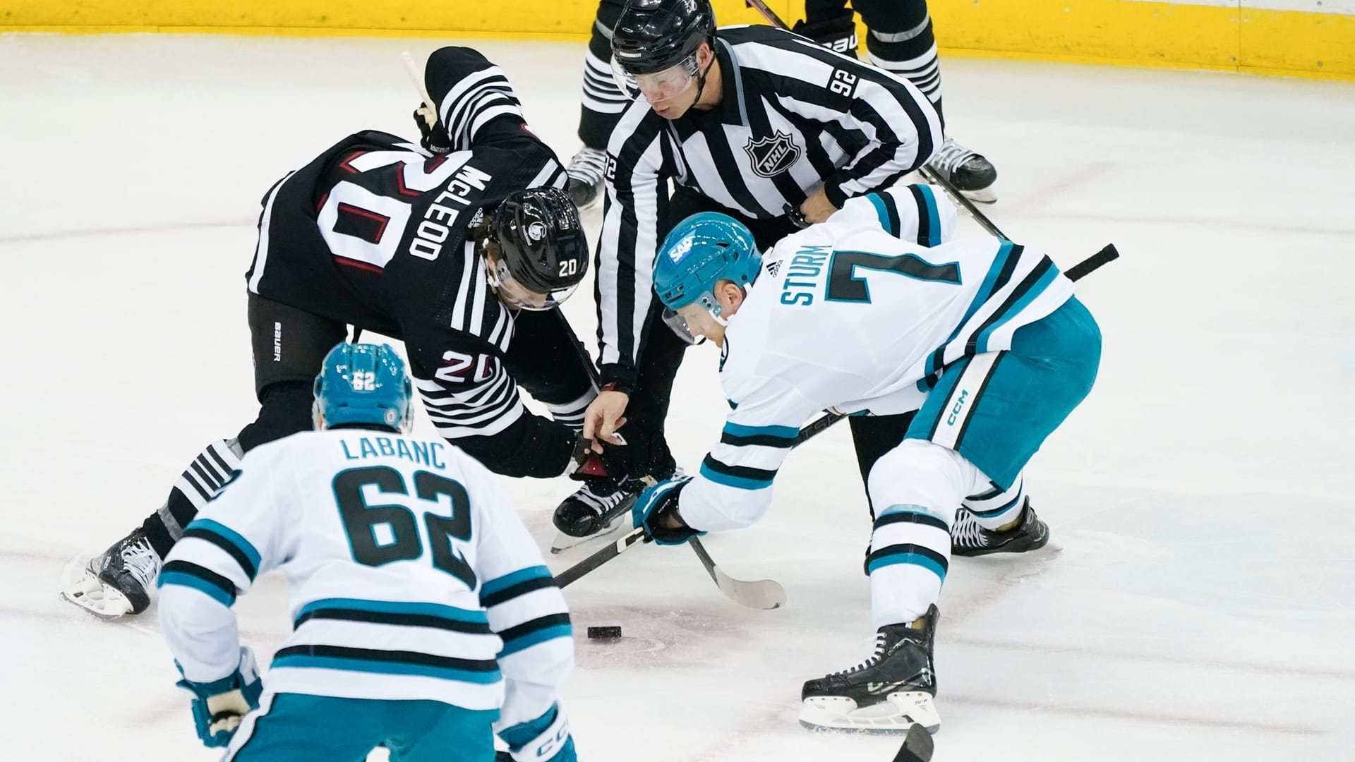 Sharks-Sieg Sharks-Sieg