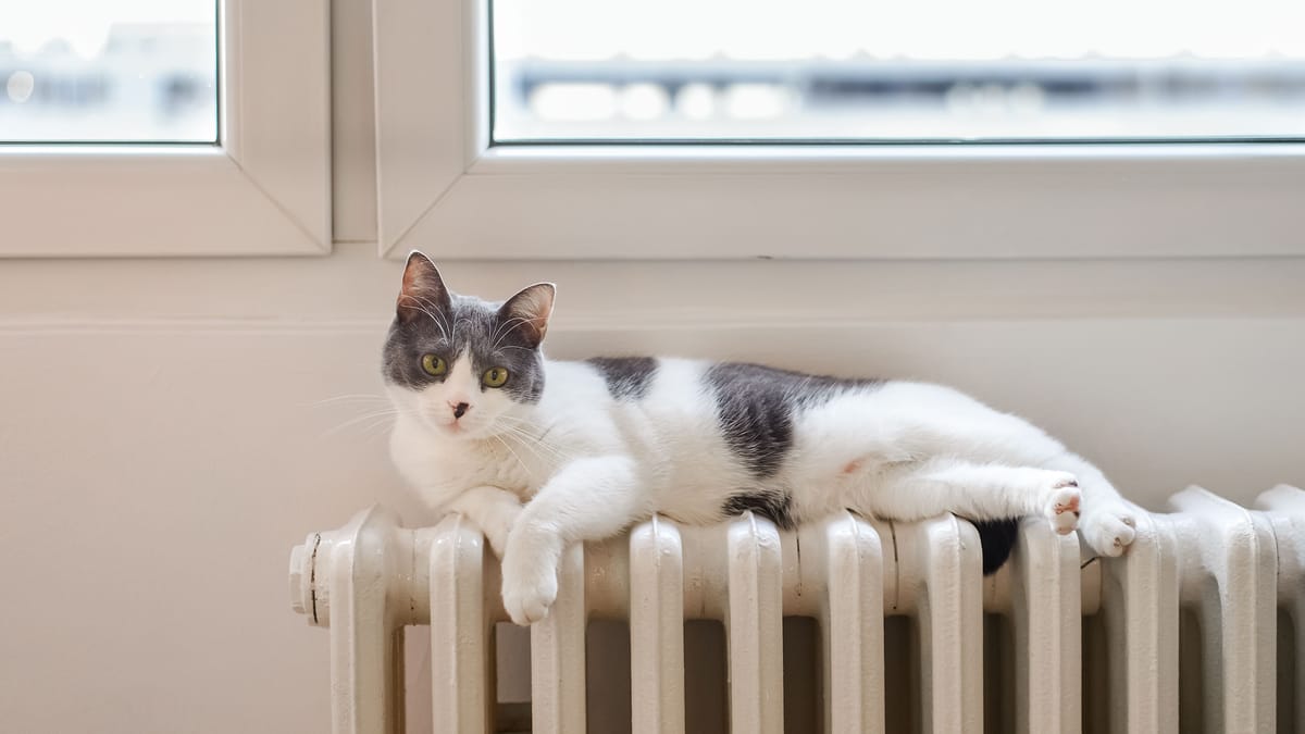 Heizkörper wird nur oben warm Ursache, Tipps und Tricks