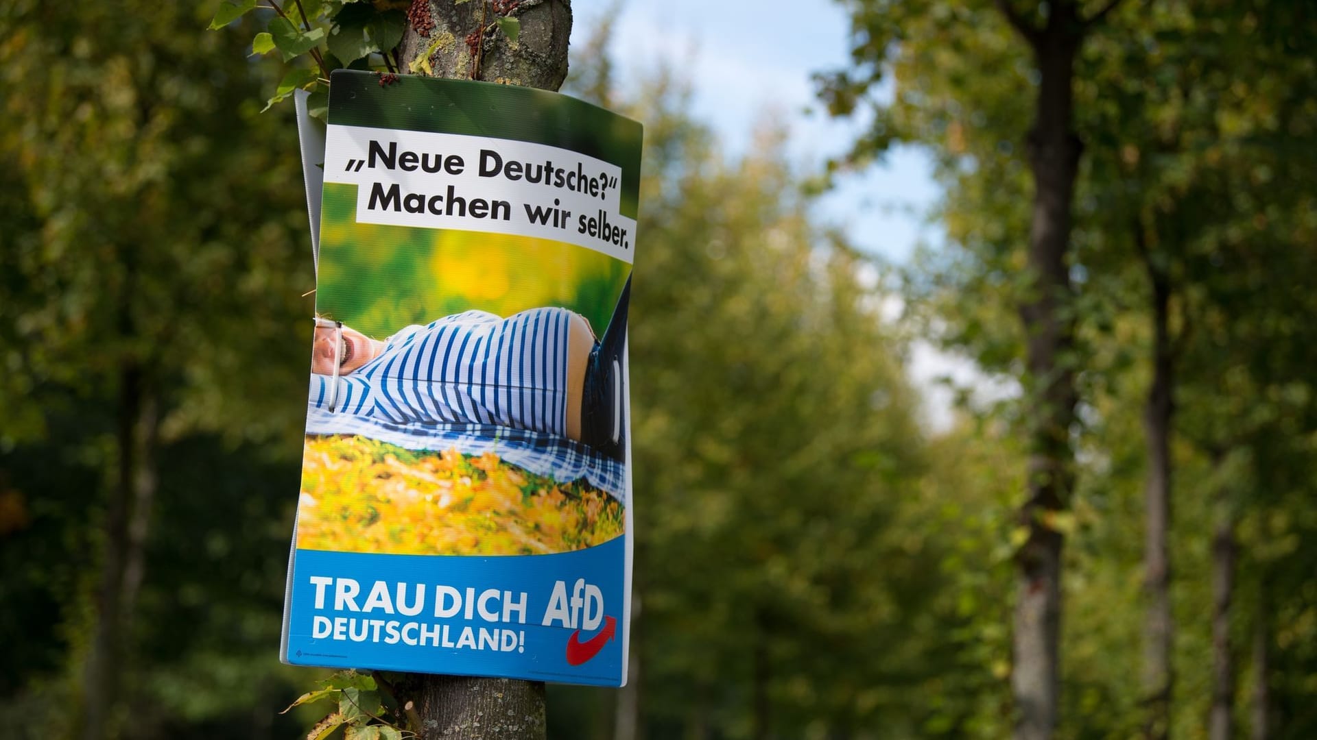 AfD-Wahlplakat