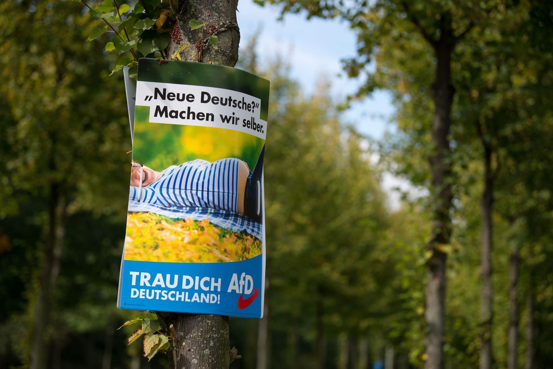 AfD-Wahlplakat