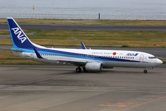 All Nippon Airways Boeing 737-800 (Symbolbild): Eine dieser Maschinen musste aus Sicherheitsgründen umkehren.