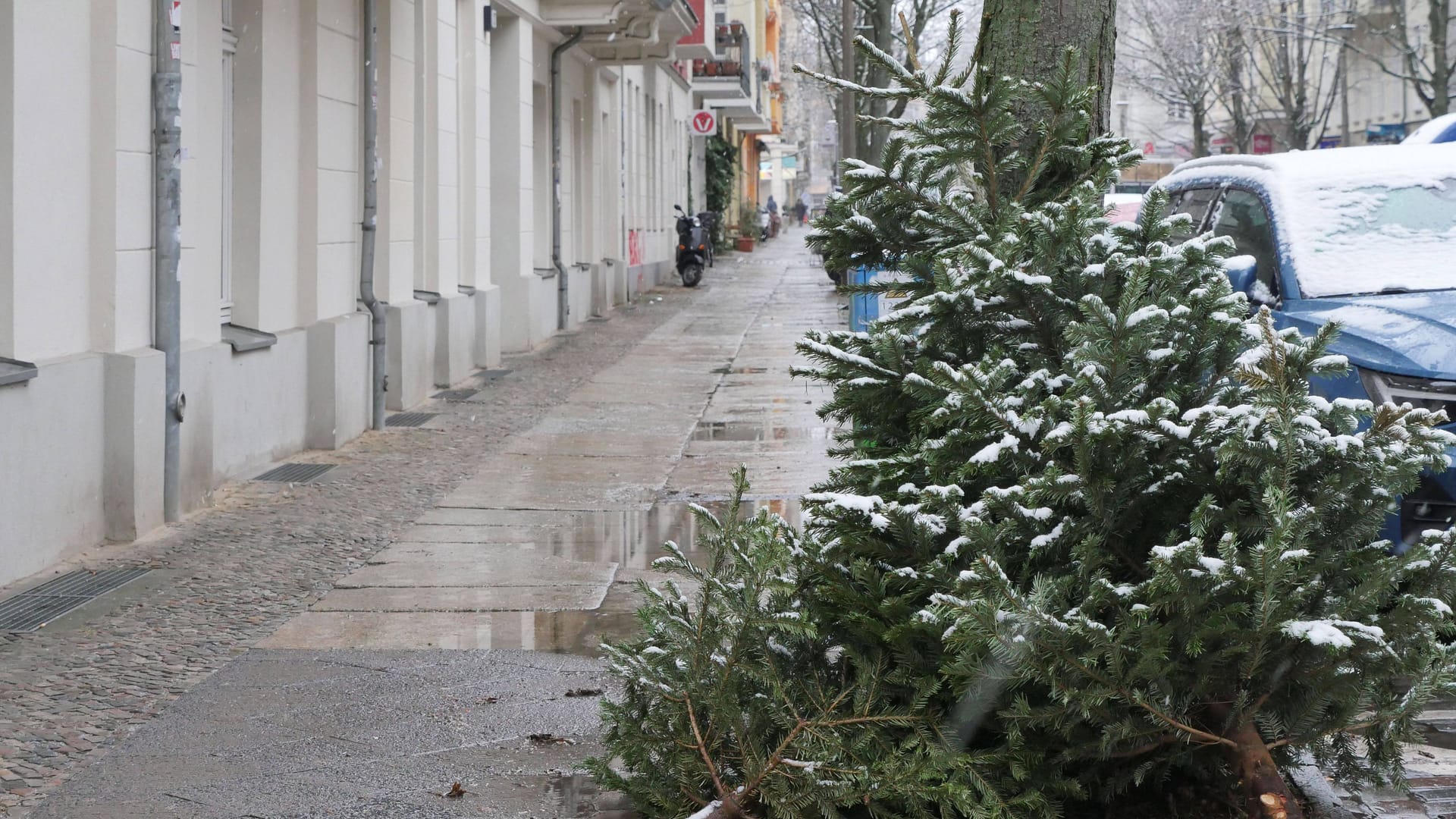 Weihnachtsbaum in Berlin: Die Stadtreinigung holt sie ab. Weihnachtsbaum in Berlin: Die Stadtreinigung holt sie ab.