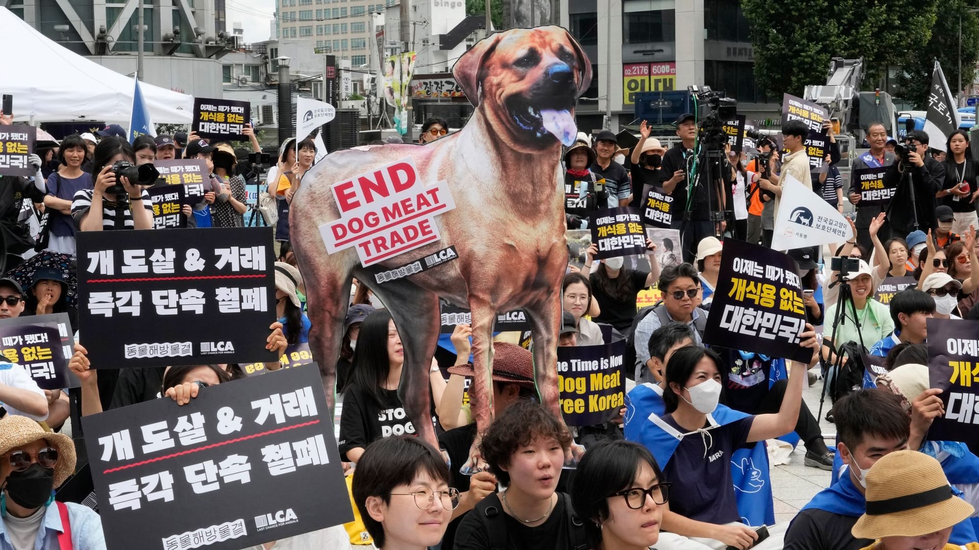 Proteste gegen den Hundefleisch-Handel: Immer mehr Südkoreaner sehen die Tiere lediglich als Haustiere an.