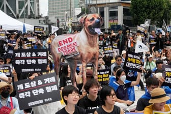 Proteste gegen den Hundefleisch-Handel: Immer mehr Südkoreaner sehen die Tiere lediglich als Haustiere an.