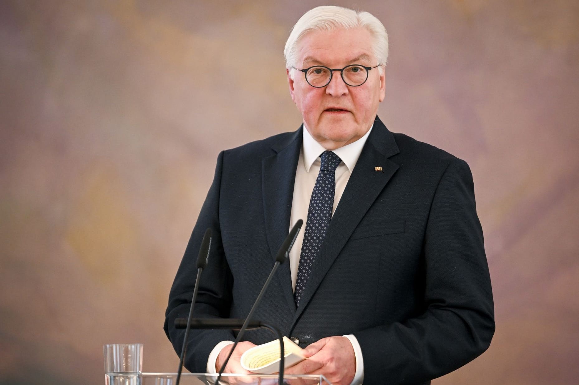 Frank-Walter Steinmeier