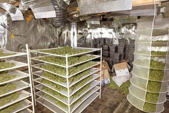 Verstecke Plantage in einem Wohnhaus: Die Tatverdächtigen bauten Cannabis im großen Stil an.