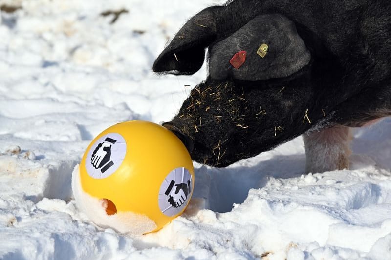 urn:newsml:dpa.com:20090101:240118-99-659817