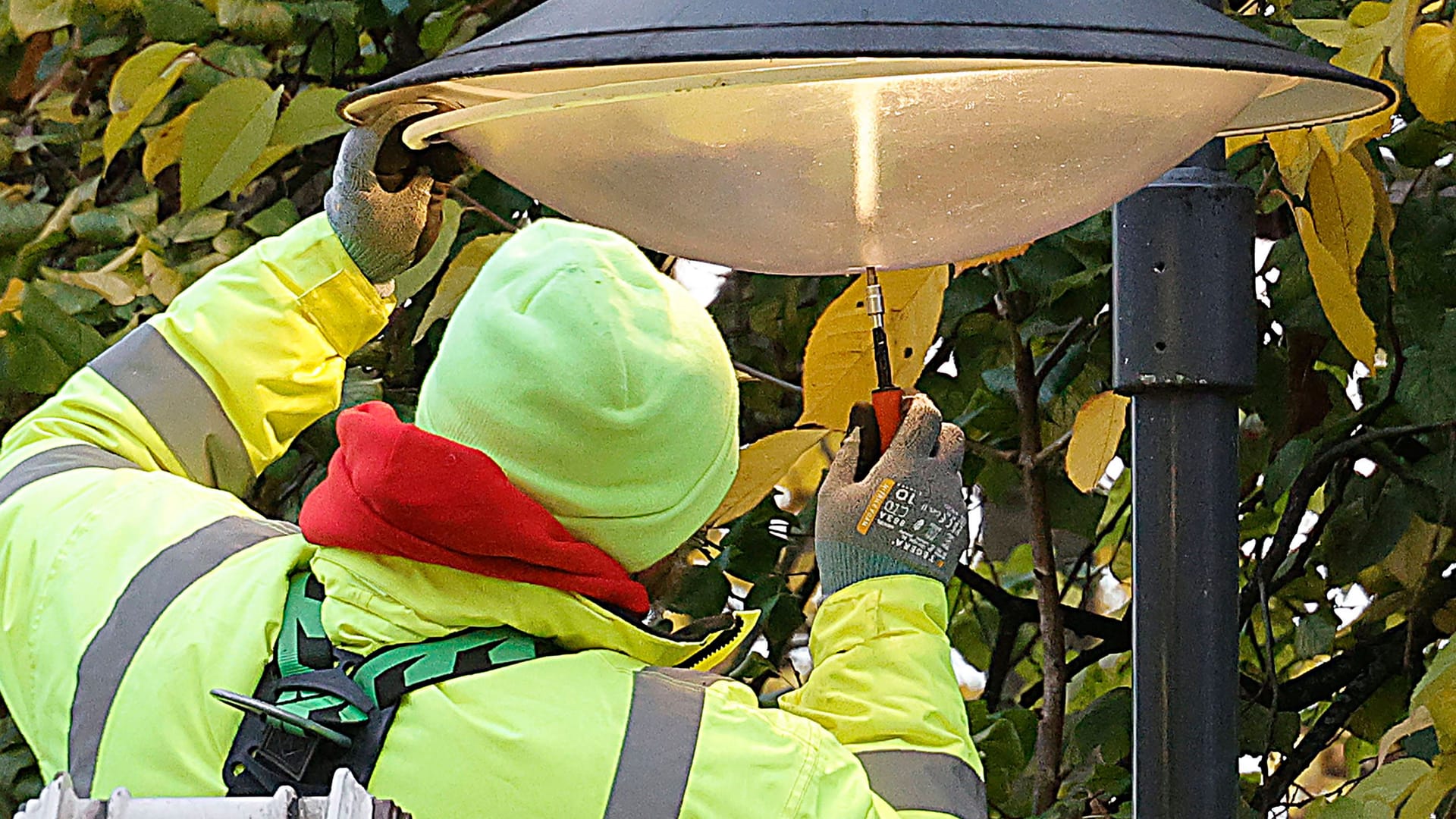 Ein Techniker installiert eine Straßenlampe (Symbolbild): In Erlangen wird nun ein besonderes Modell getestet – ob es bei den Bürgern ankommt?