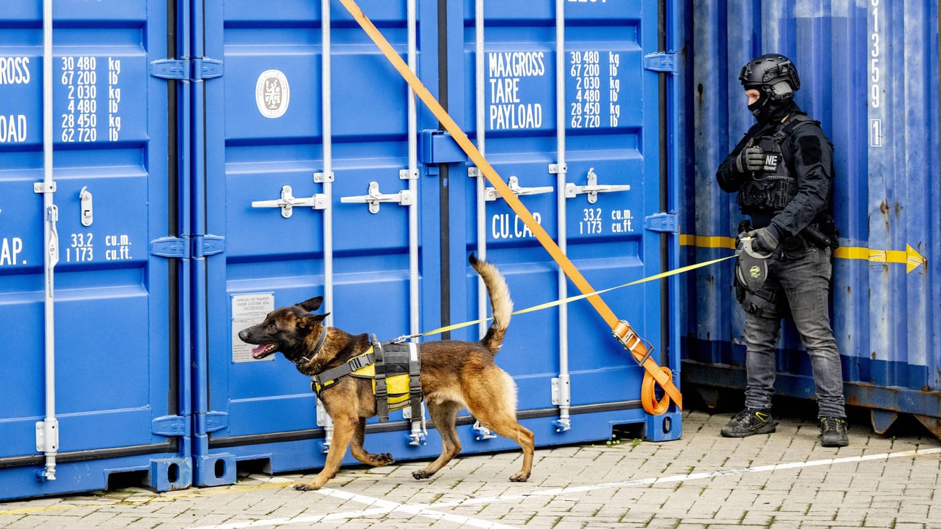 Ein Polizist und ein Drogenspürhund proben den Einsatz im Hafen von Rotterdam: Hier werden europaweit am meisten Container umgeschlagen.