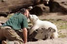 Was verdient ein Tierpfleger im Zoo wirklich? Die Zahlen überraschen