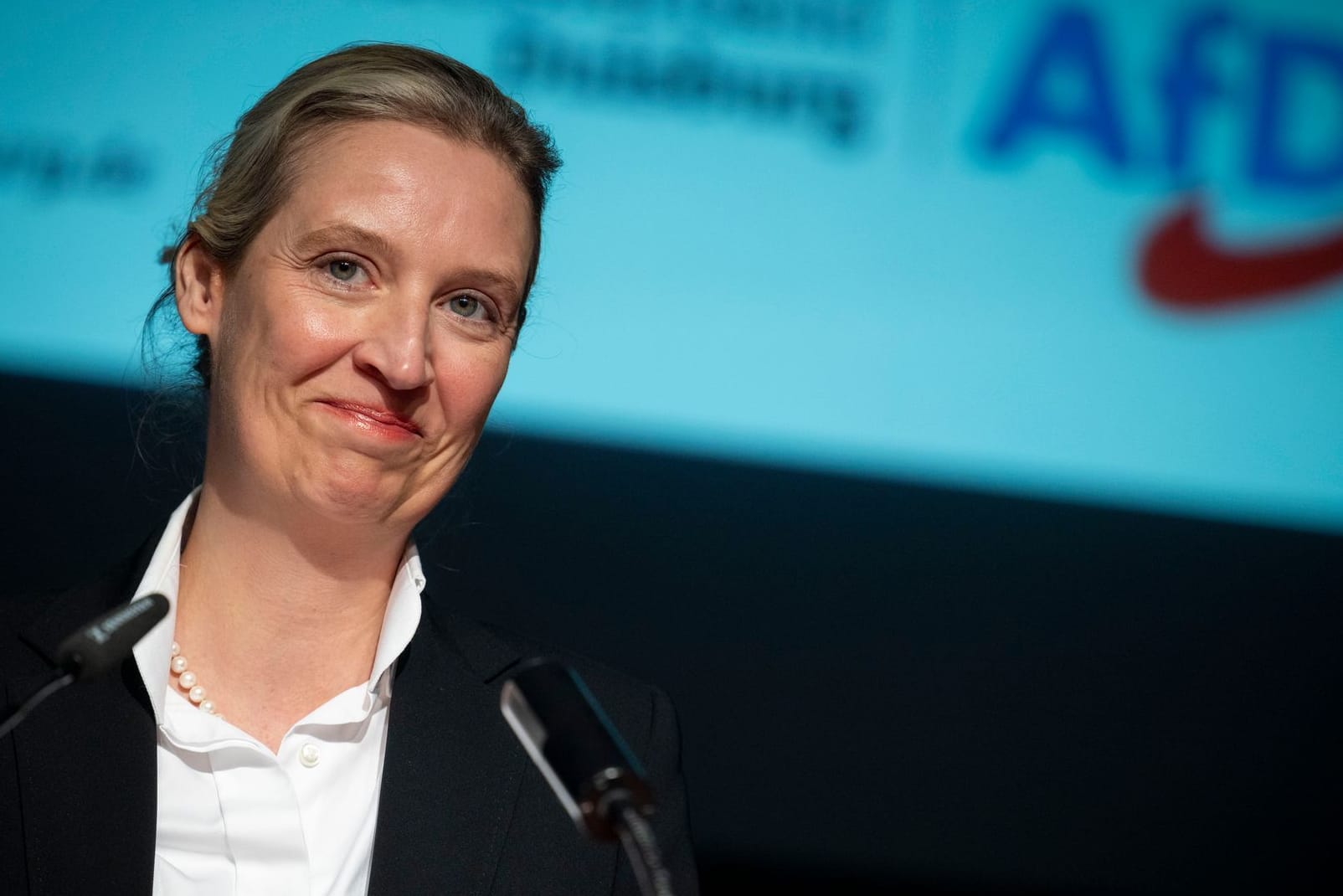 Alice Weidel (Archivbild):