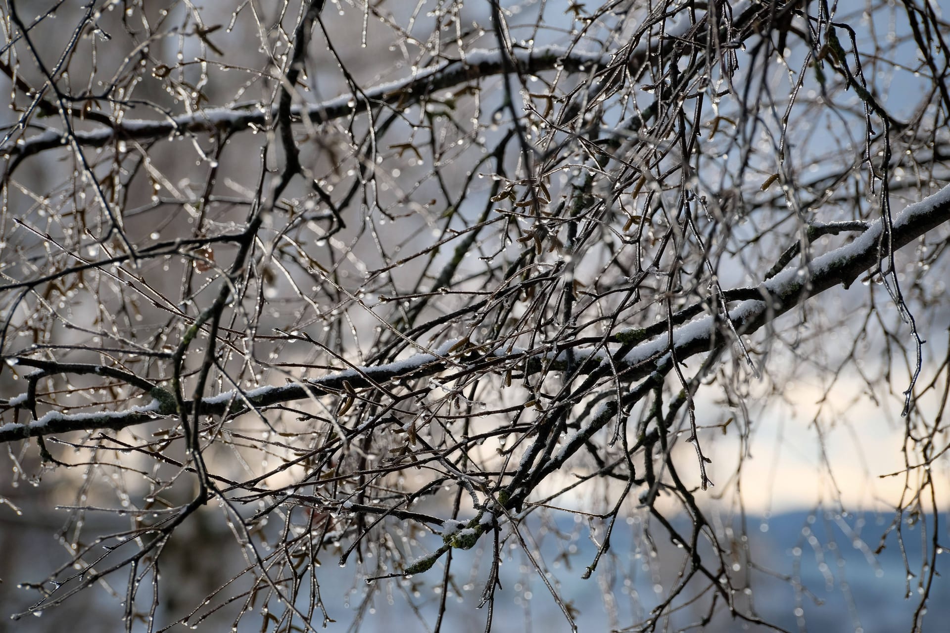 Hessen erwartet eine frostige und sonnige Woche (Symbolfoto).