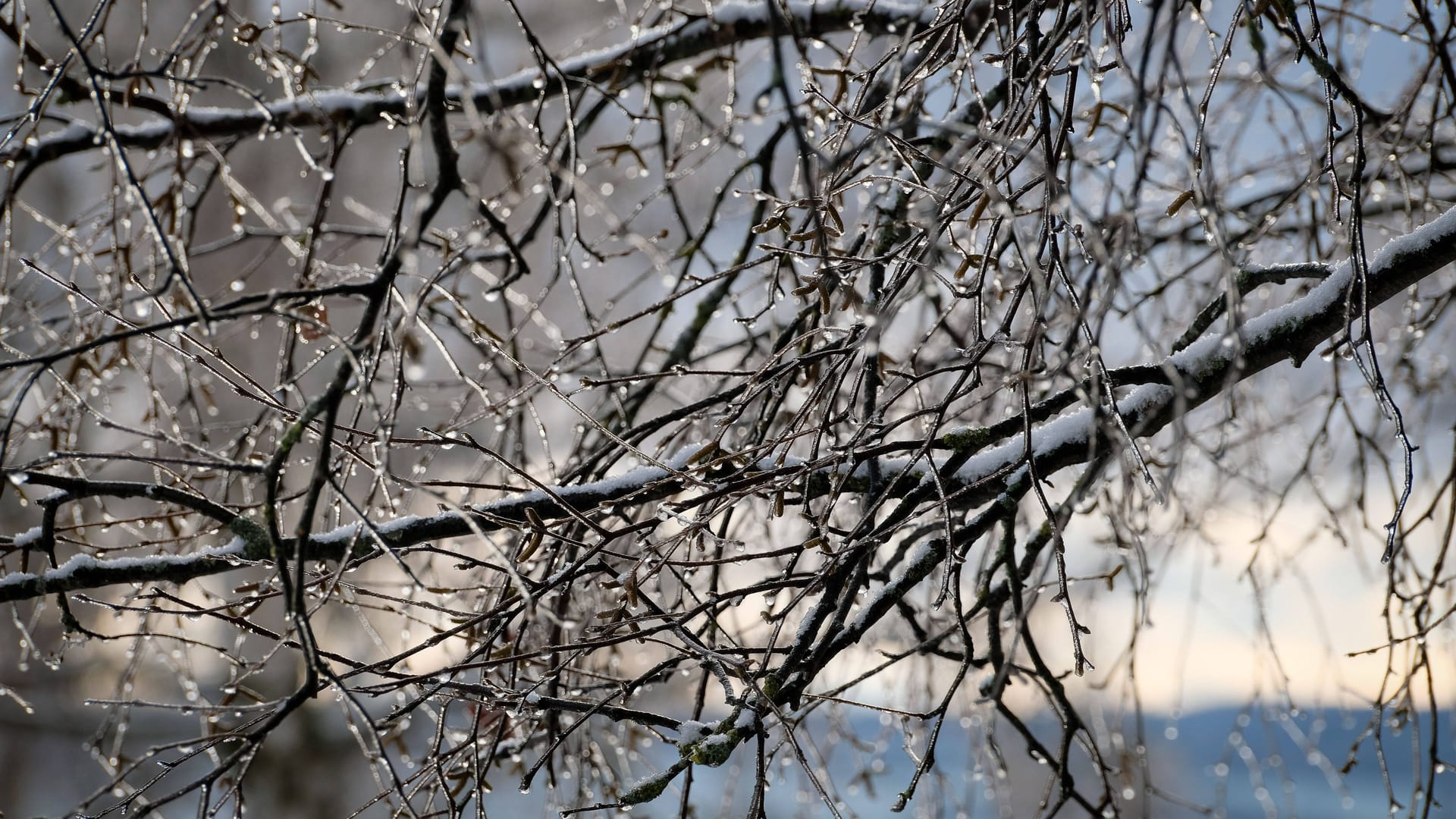 Hessen erwartet eine frostige und sonnige Woche (Symbolfoto).