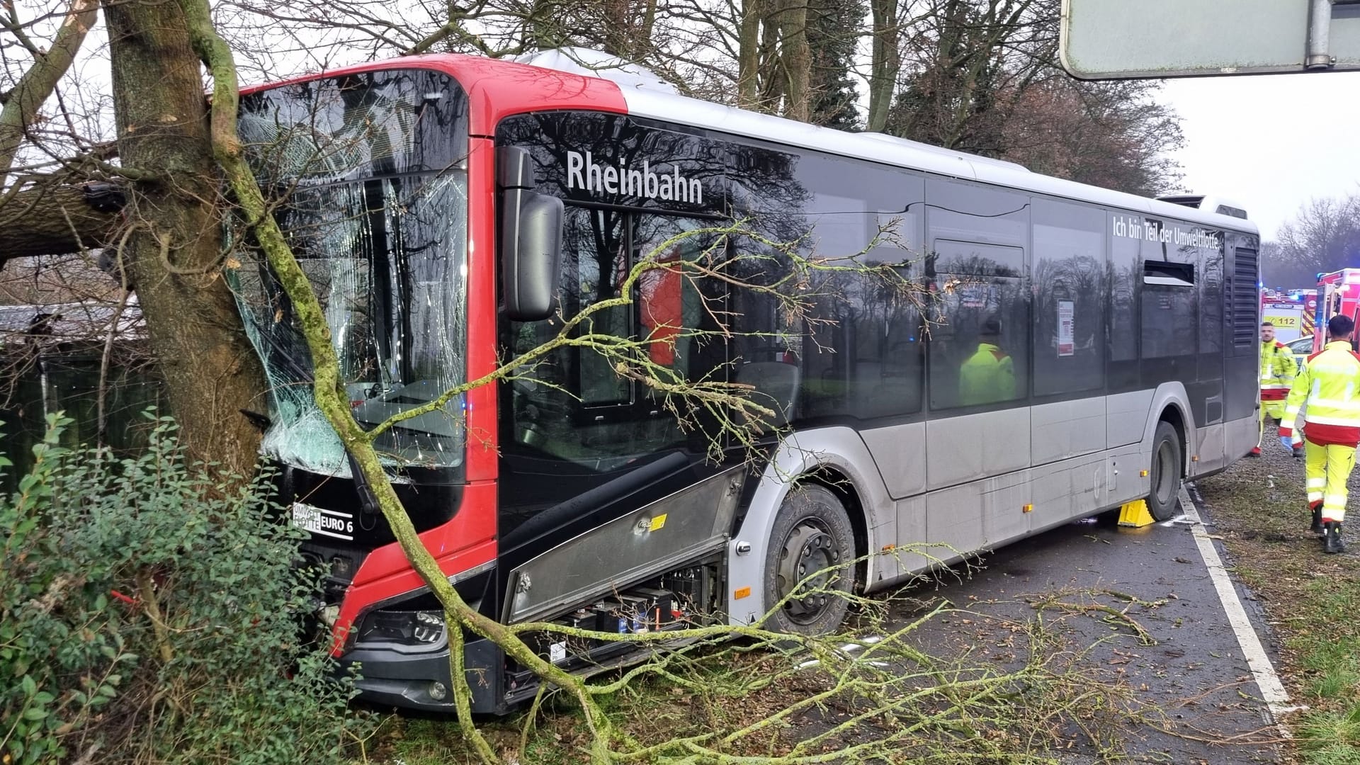 Ein Linienbus ist gegen einen Baum geprallt: Acht Menschen wurden bei dem Unfall verletzt.