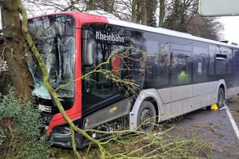 Ein Linienbus ist gegen einen Baum geprallt: Acht Menschen wurden bei dem Unfall verletzt.