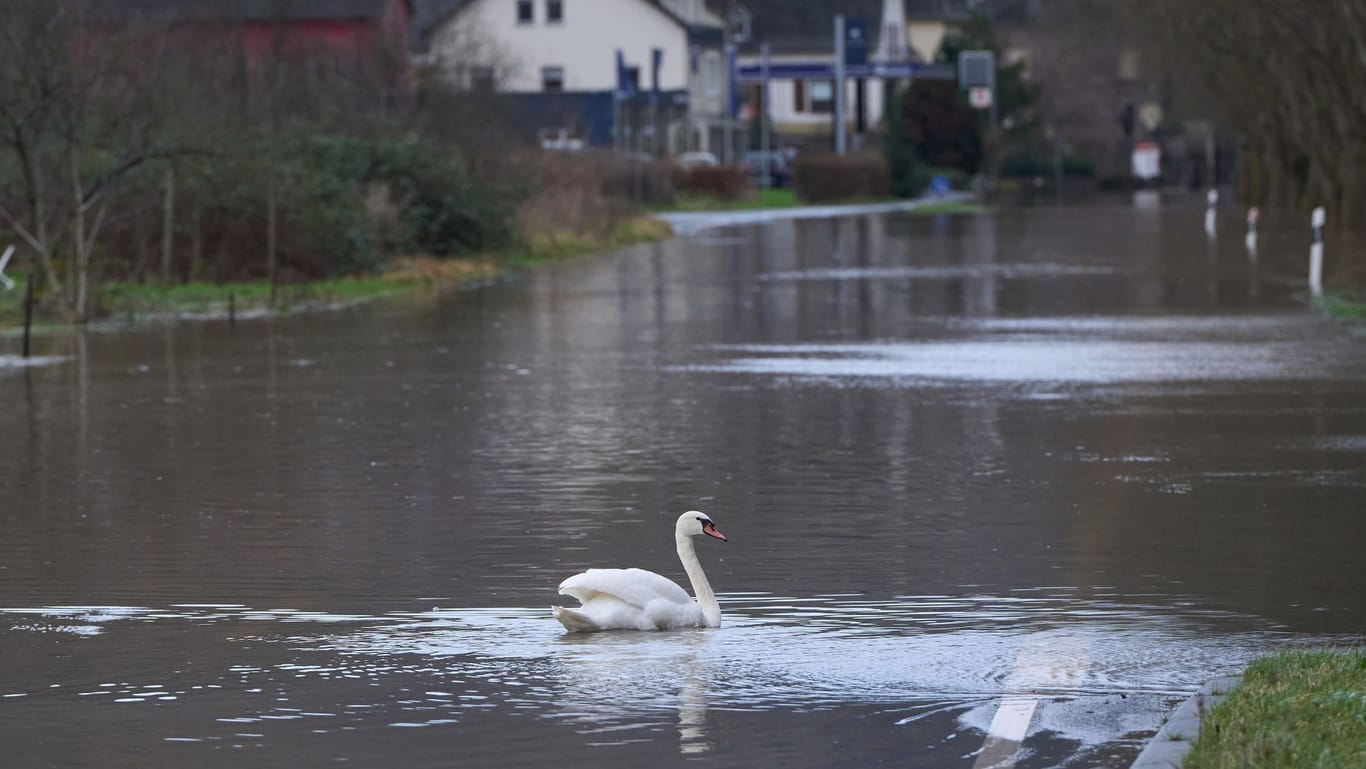 Hochwasser