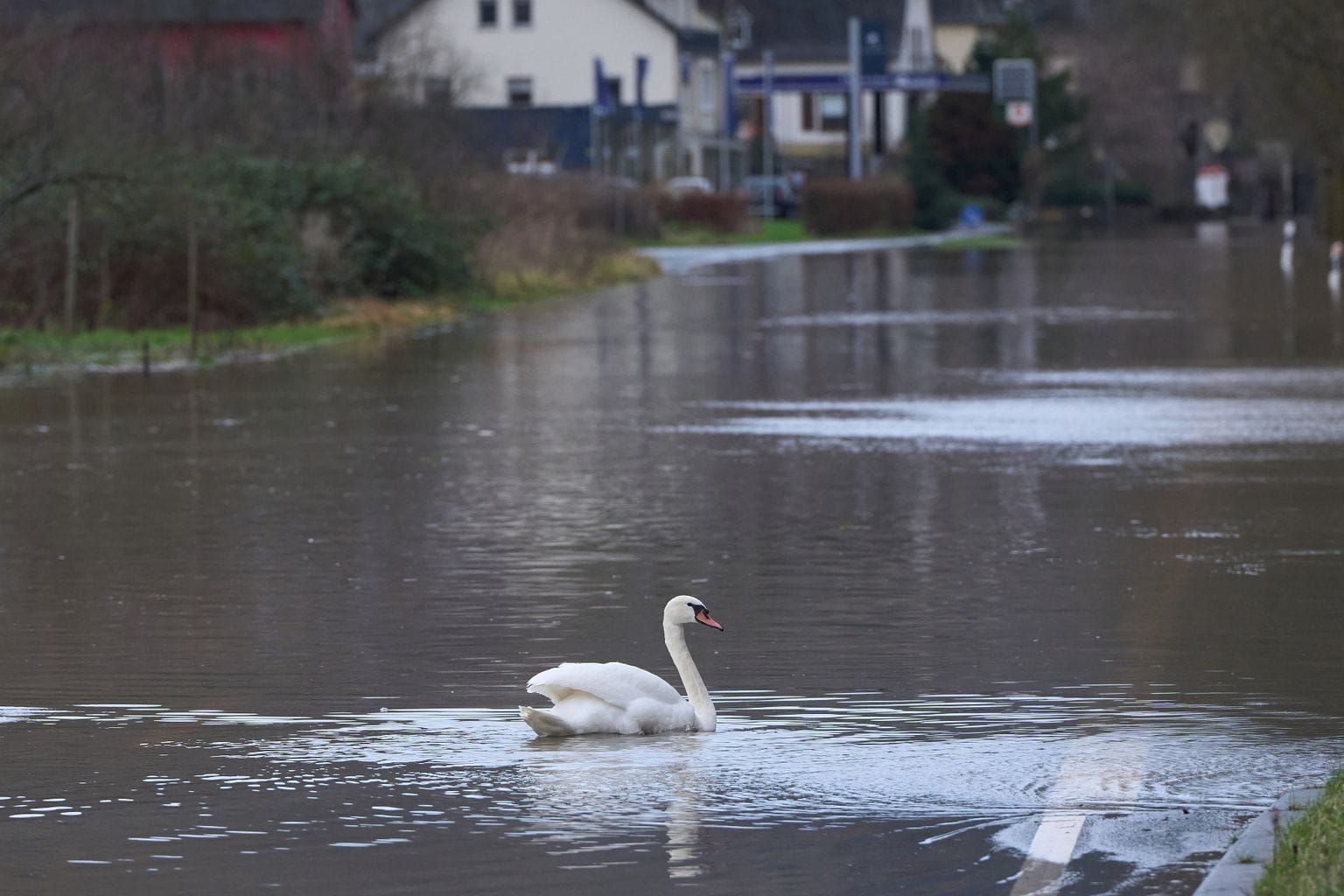 Hochwasser