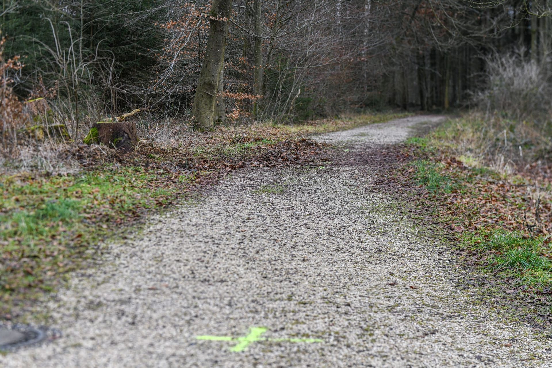 Ulm: In dem Waldstück soll ein 15-Jähriger versucht haben, seine gleichaltrige Freundin zu erwürgen – nun starb sie.