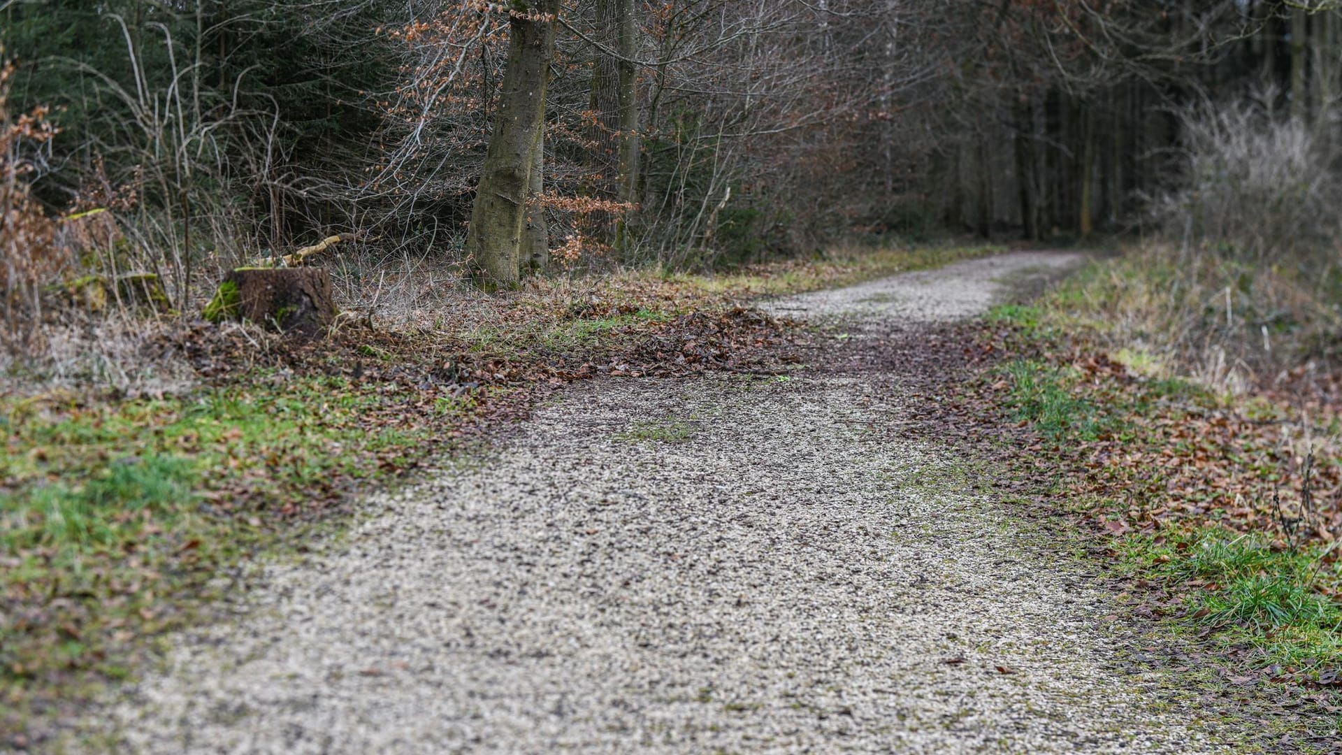 Ulm: In dem Waldstück soll ein 15-Jähriger versucht haben, seine gleichaltrige Freundin zu erwürgen – nun starb sie.