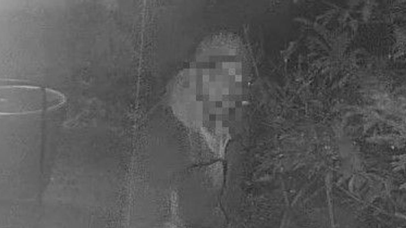 Fahndungsfoto aus einer Überwachungskamera: Dieser Einbrecher wurde auf frischer Tat ertappt.
