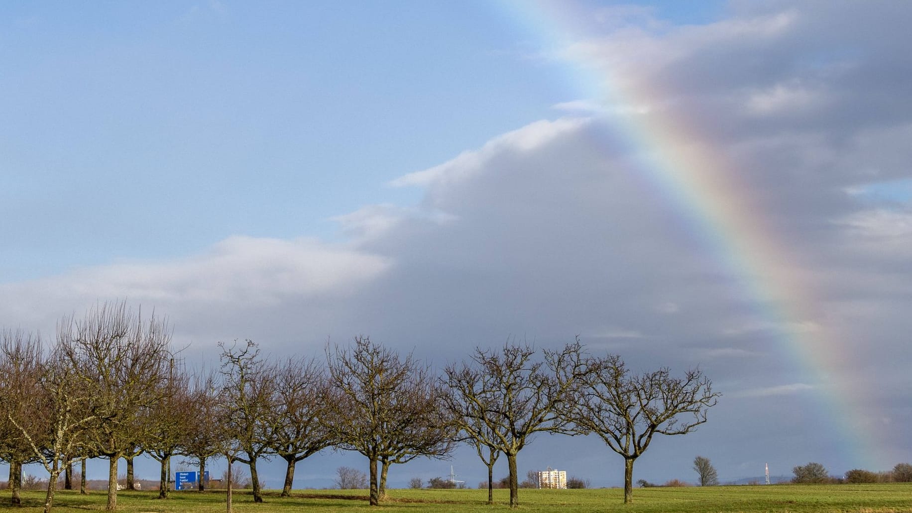 Ein Regenbogen über Apfelbäumen (Symbolbild): Am Wochenende wird die Sonne nur selten zu sehen sein.