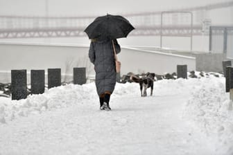 Eine Frau geht im Schneetreiben mit ihrem Hund spazieren (Symbolbild): Der Deutsche Wetterdienst warnt ab dem Vormittag vor starkem Schneefall.