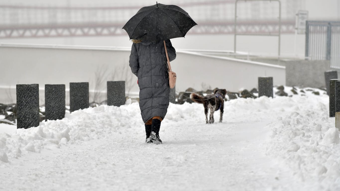 Eine Frau geht im Schneetreiben mit ihrem Hund spazieren (Symbolbild): Der Deutsche Wetterdienst warnt ab dem Vormittag vor starkem Schneefall.