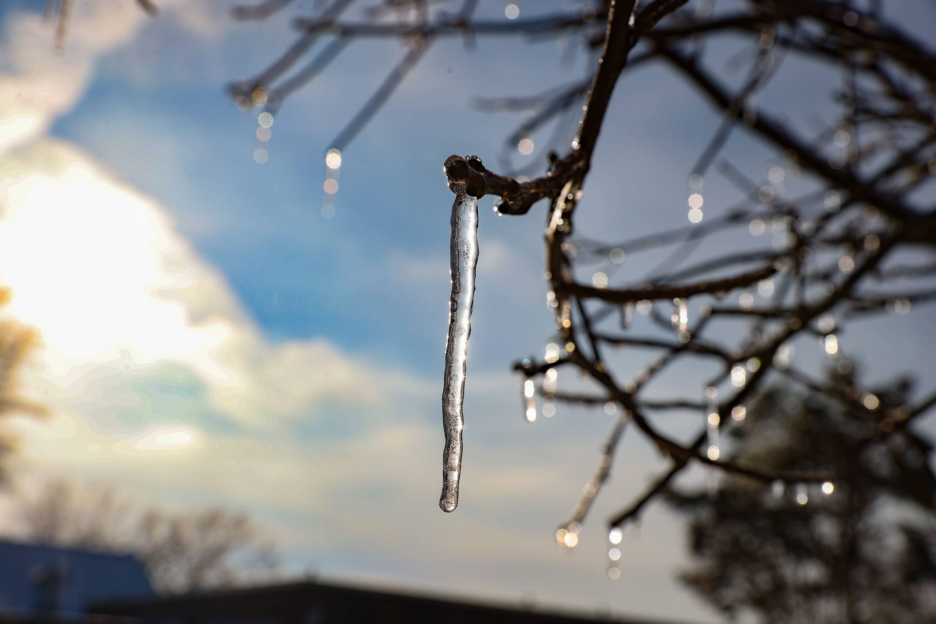 Winter im Norden: Es herrschen Minustemperaturen.