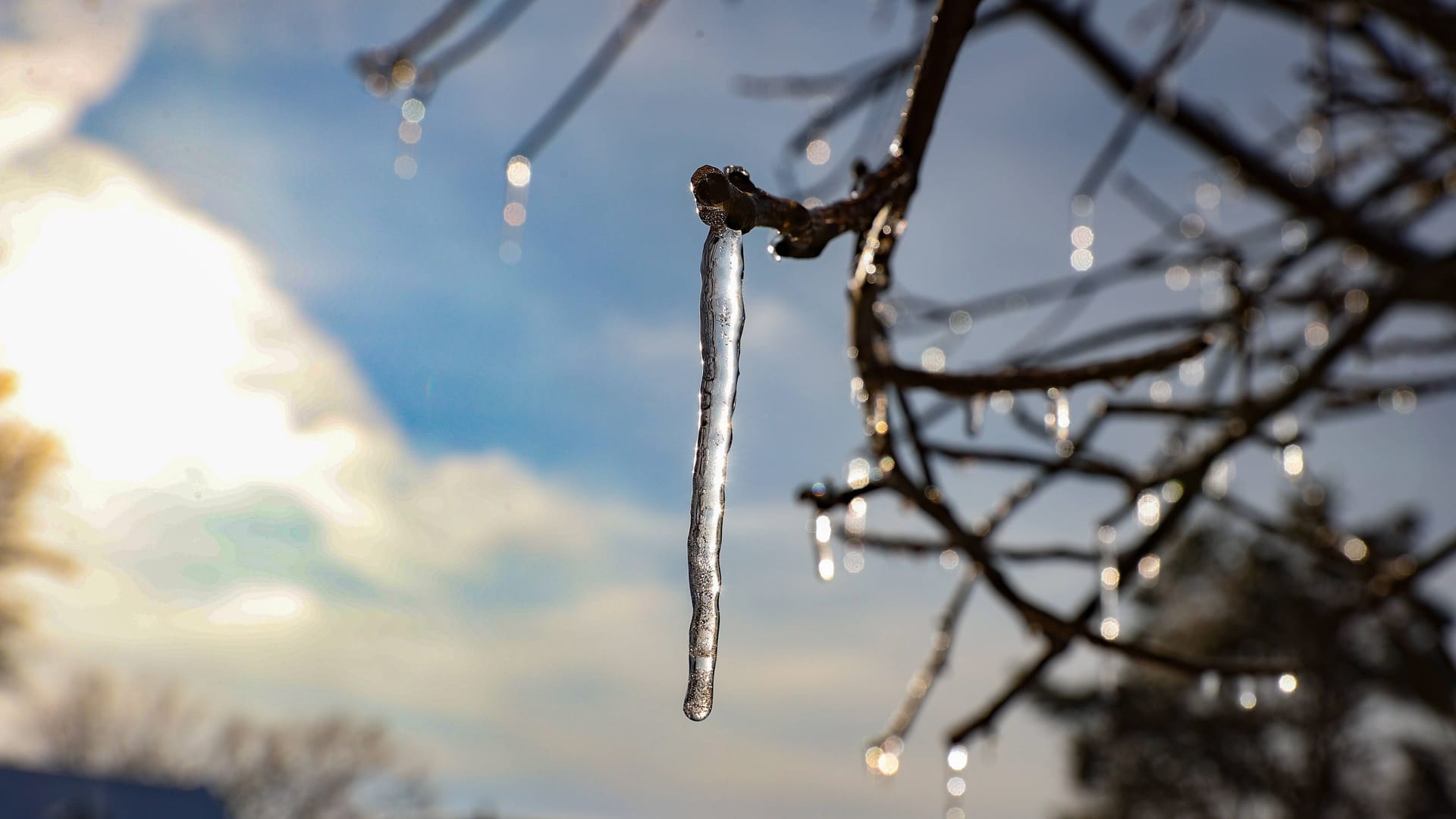 Winter im Norden: Es herrschen Minustemperaturen.