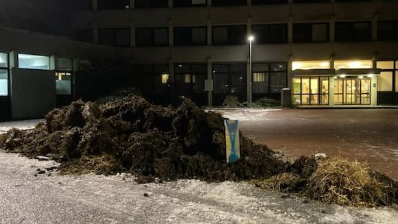 Der Misthaufen vor dem Finanzamt Stade: Darin befand sich eine auf einer Holzlatte aufgemalte Ampel. Der Misthaufen vor dem Finanzamt Stade: Darin befand sich eine auf einer Holzlatte aufgemalte Ampel.