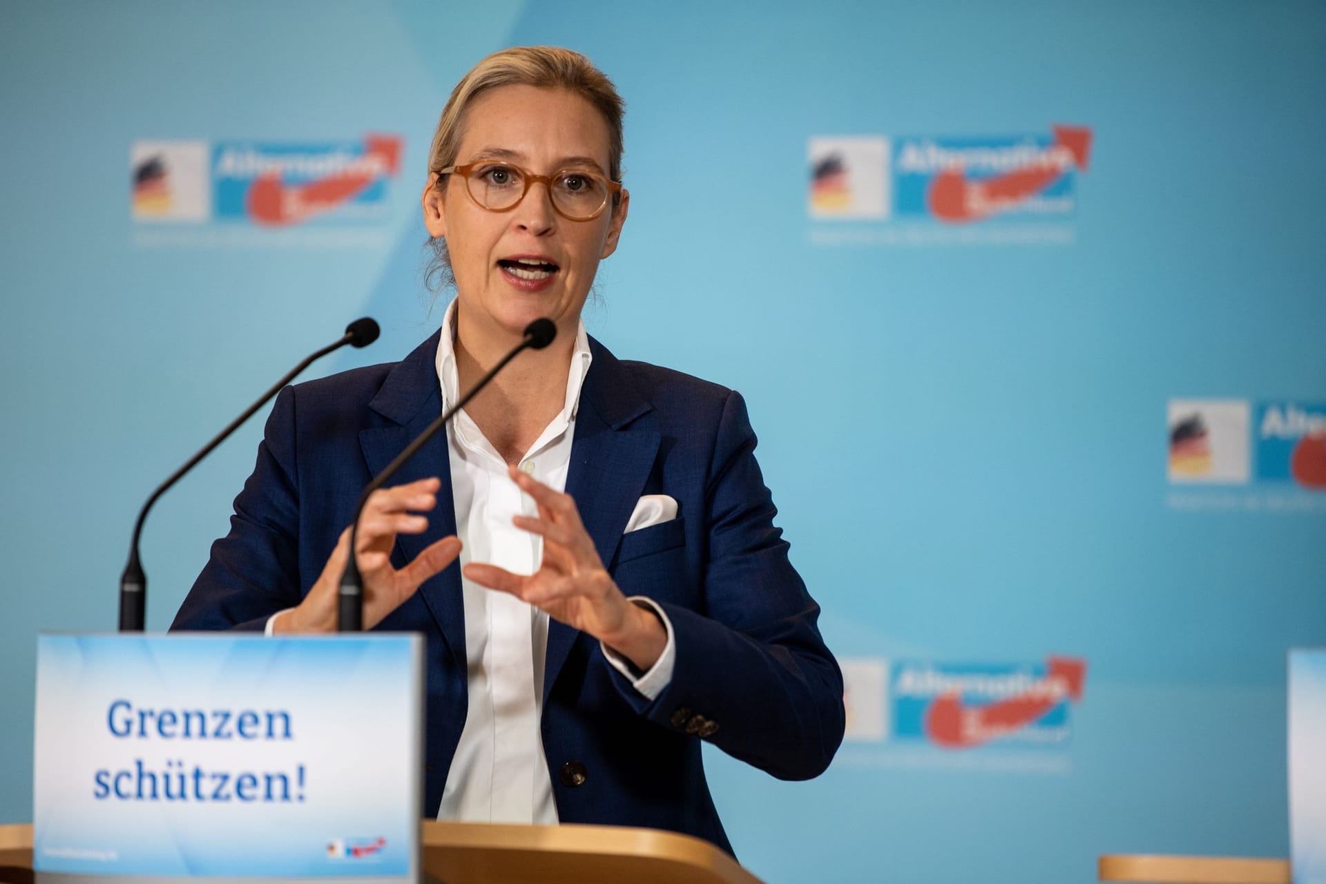 Alice Weidel